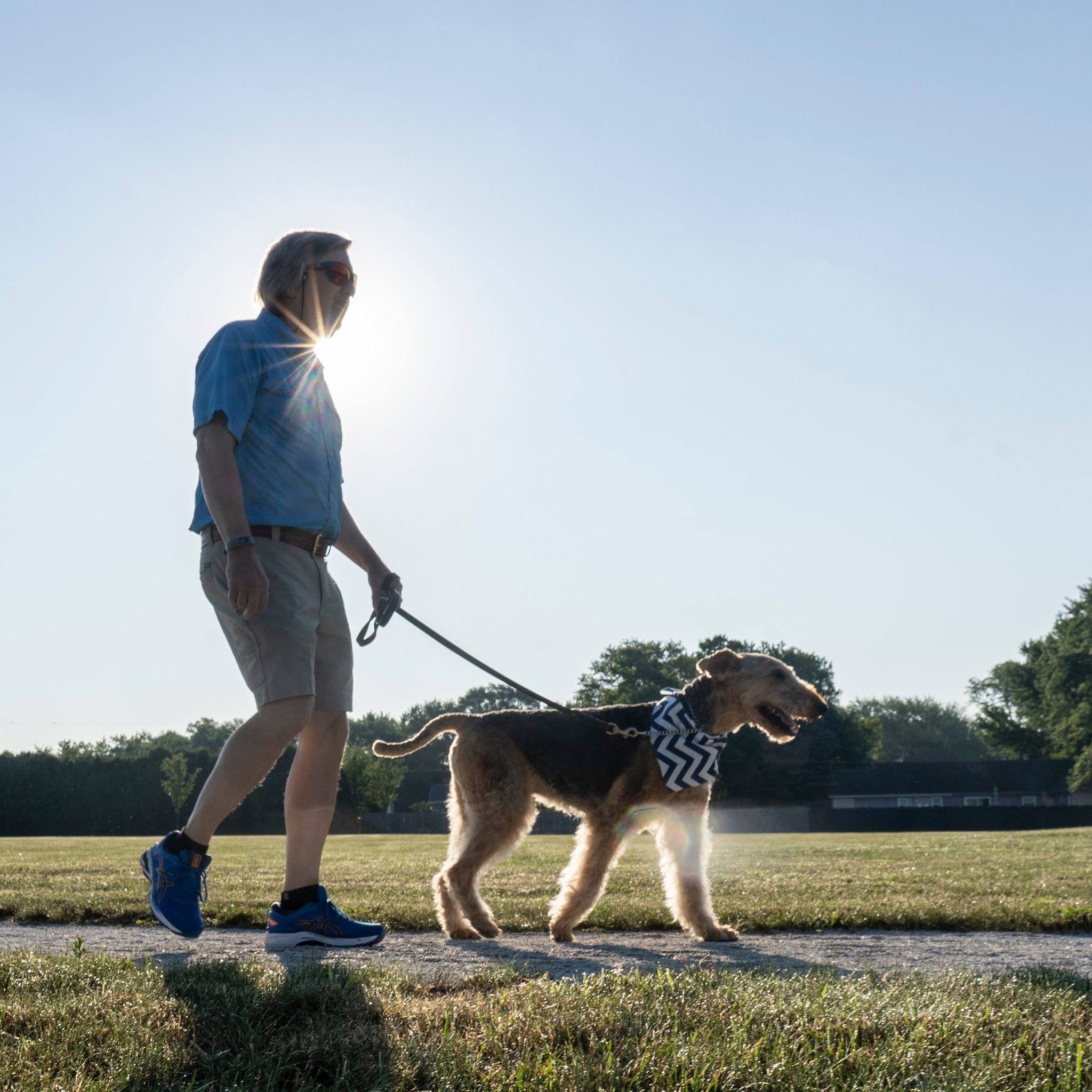 Dog Walking for First Time Pet Owners: A Guide to Safe and Enjoyable Walks