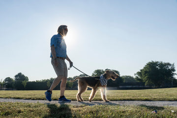 Dog Walking for First Time Pet Owners: A Guide to Safe and Enjoyable Walks