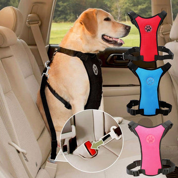 Dog Safety Chest Car Straps