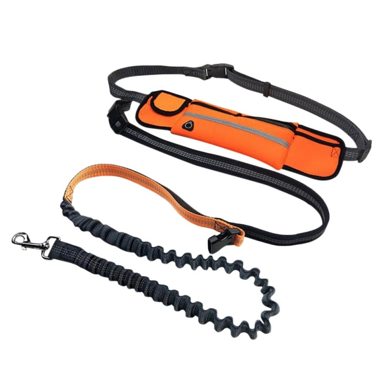 Hands-Free Running Dog Leash