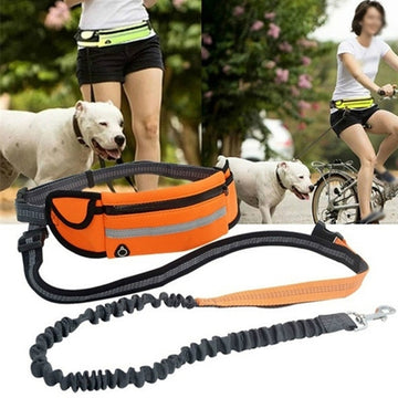 Hands-Free Running Dog Leash